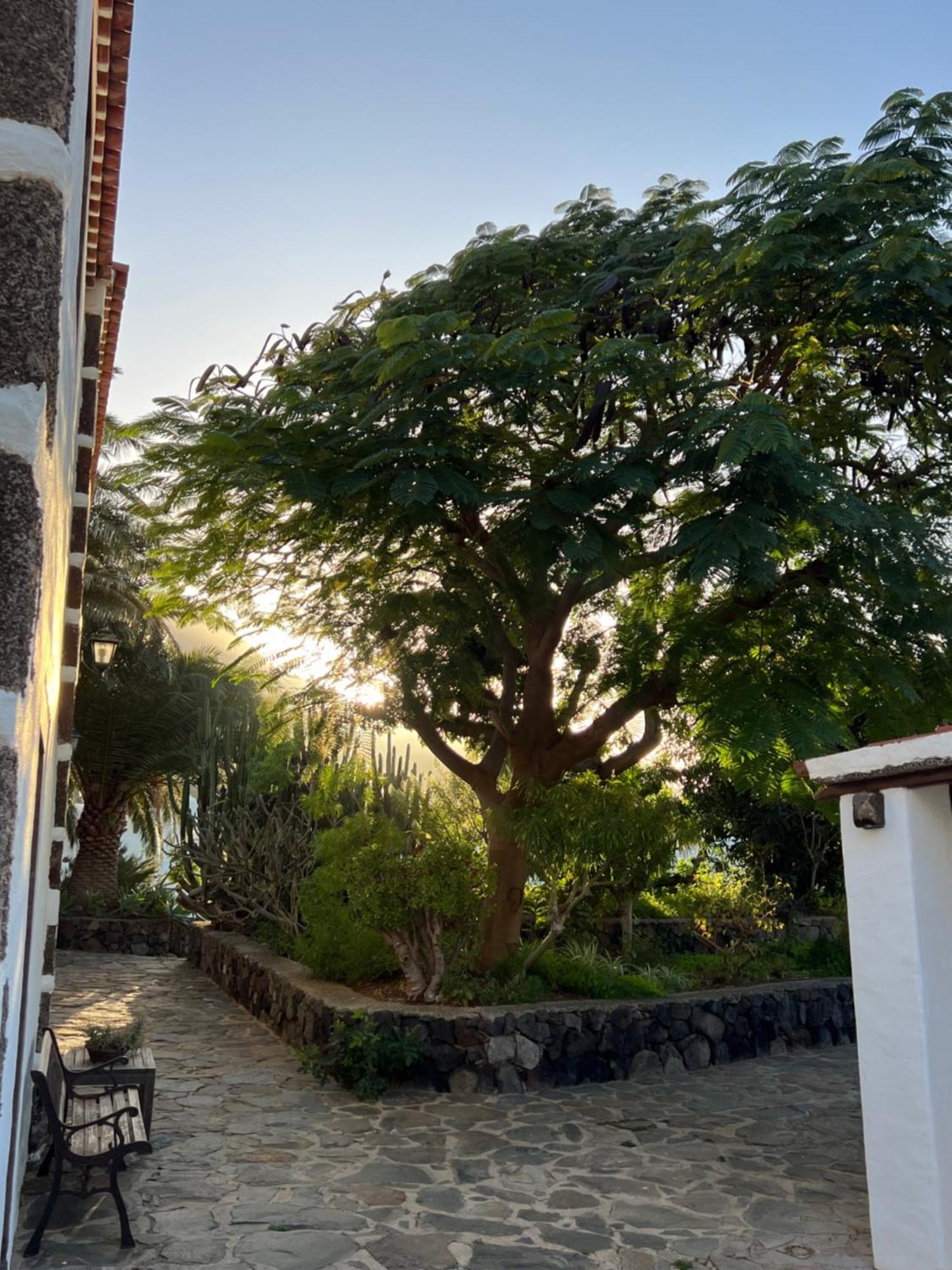 Finca Exclusiv La Mareta Agaete  Zewnętrze zdjęcie