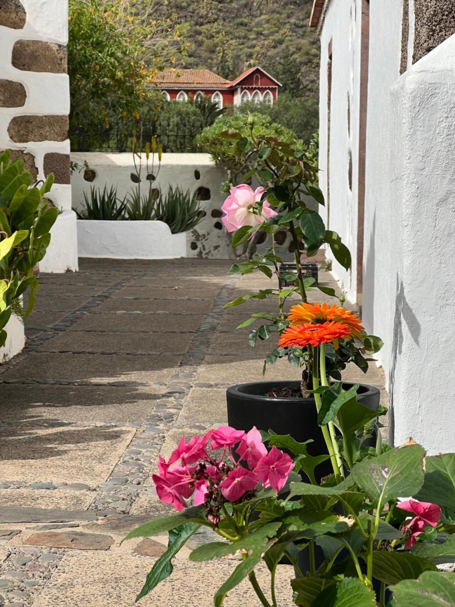 Finca Exclusiv La Mareta Agaete  Zewnętrze zdjęcie
