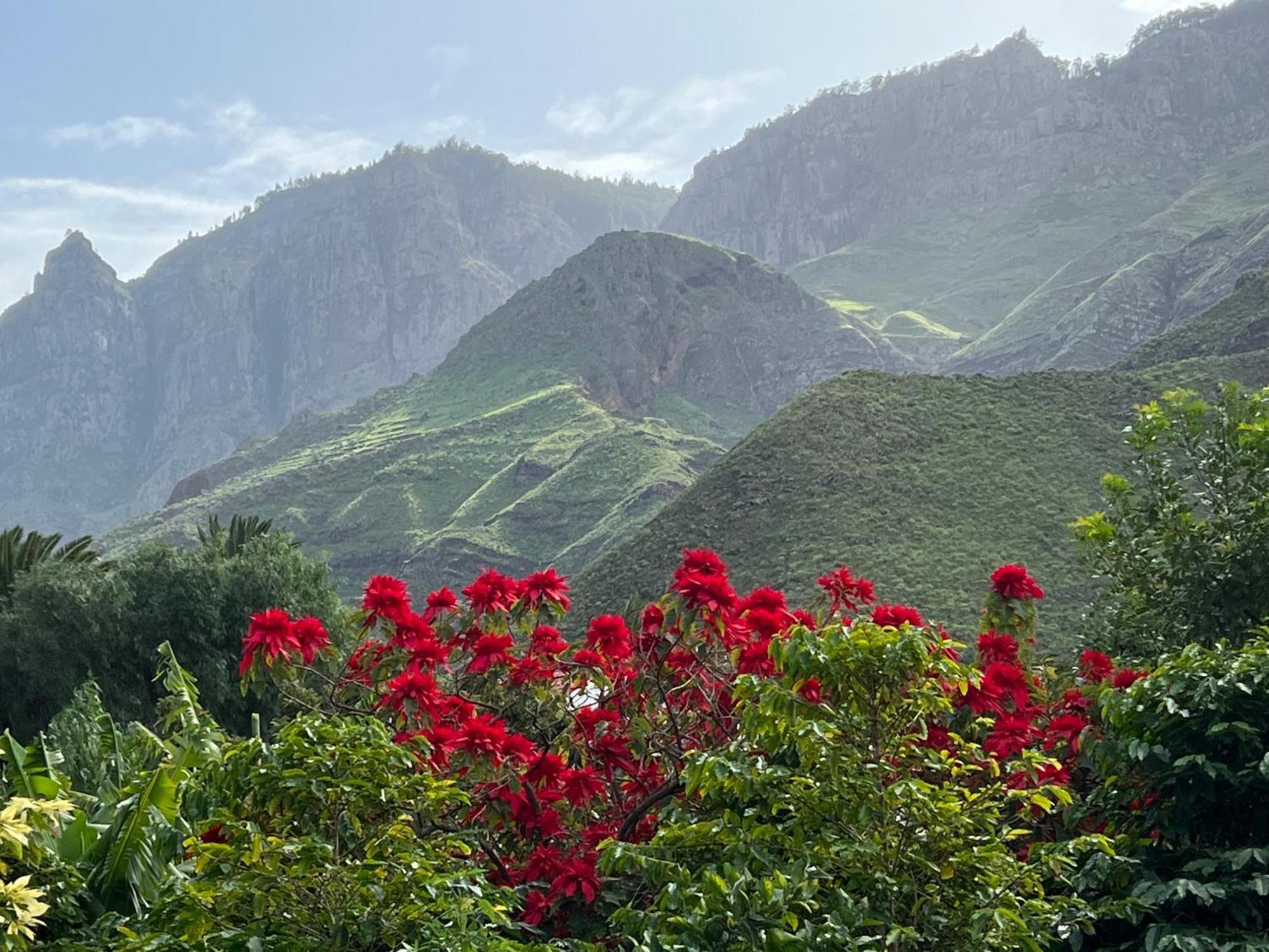 Finca Exclusiv La Mareta Agaete  Zewnętrze zdjęcie